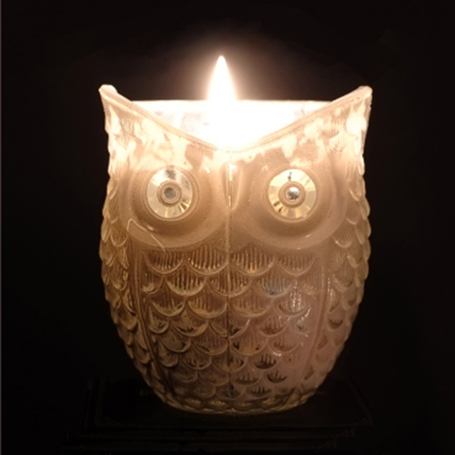 noctua candle lit