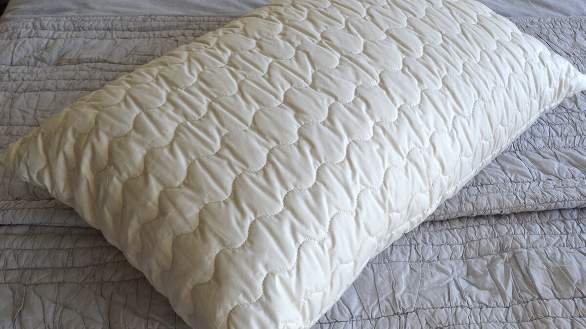 wild silk filled pillows