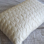 wild silk filled pillows