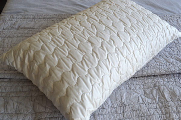 wild silk filled pillows