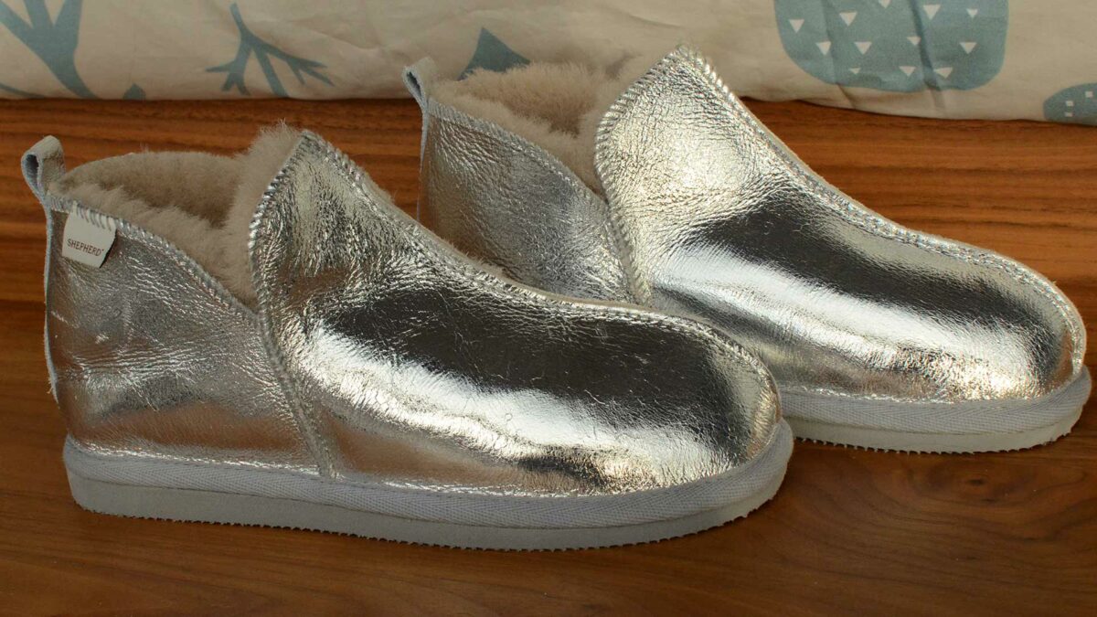 Annie silver slippers 1920