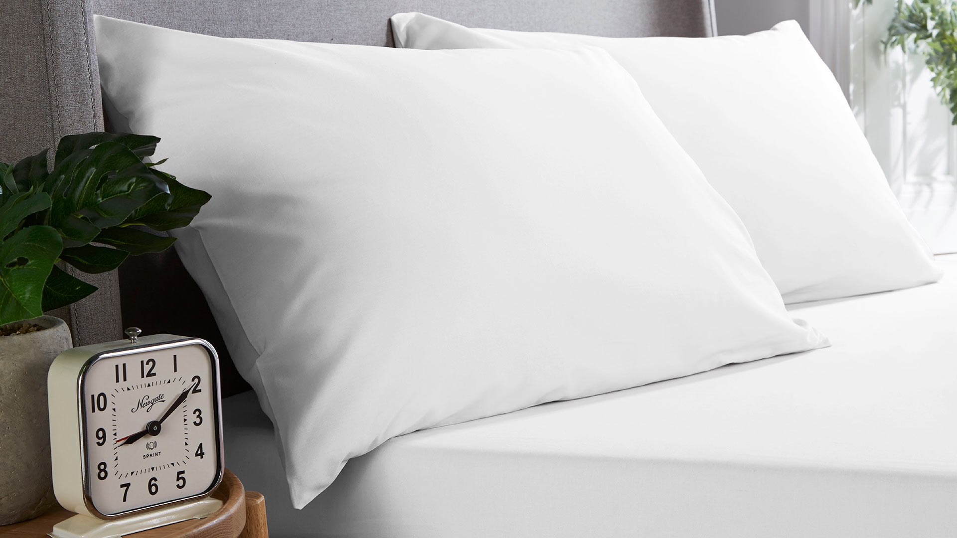 benson beds pillows
