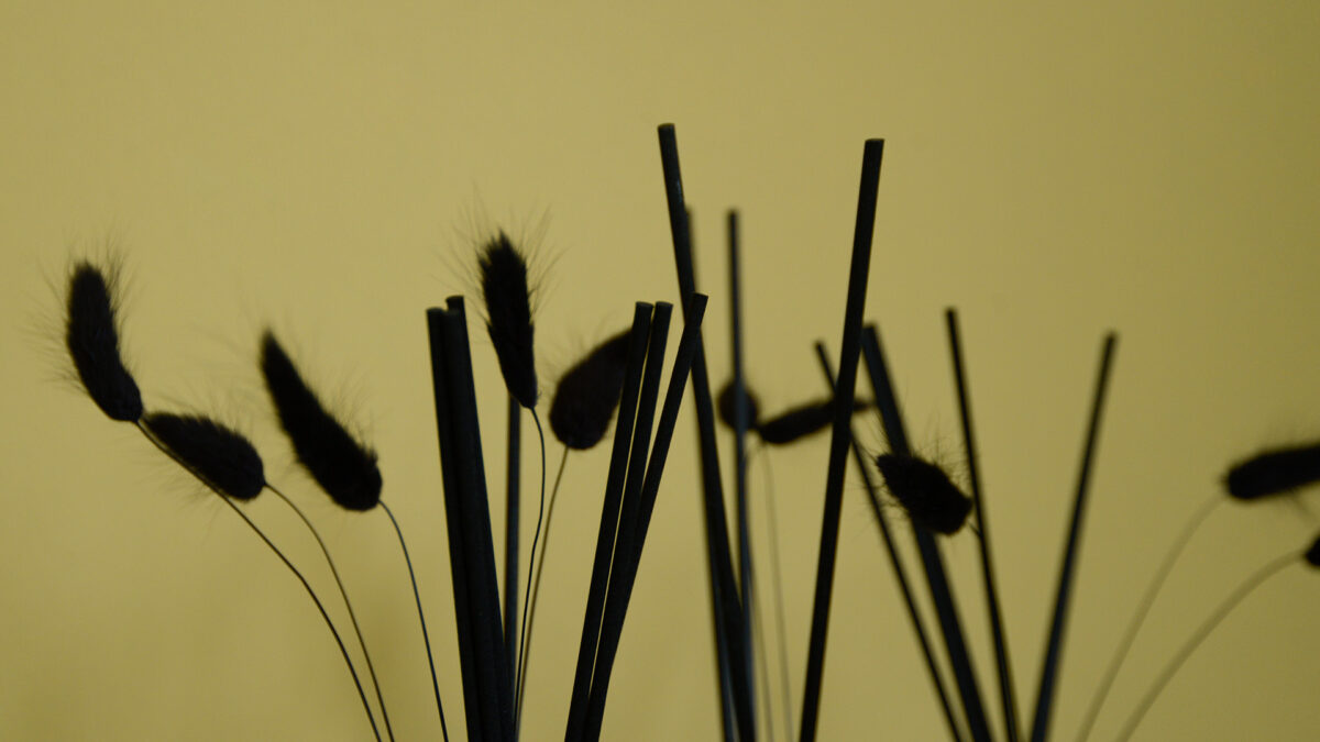 close up of diffusers reed sticks and bunny tails.