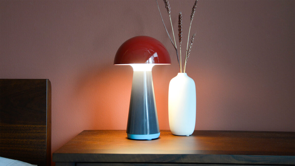 Portable Mushroom Table Lamps - Image 18
