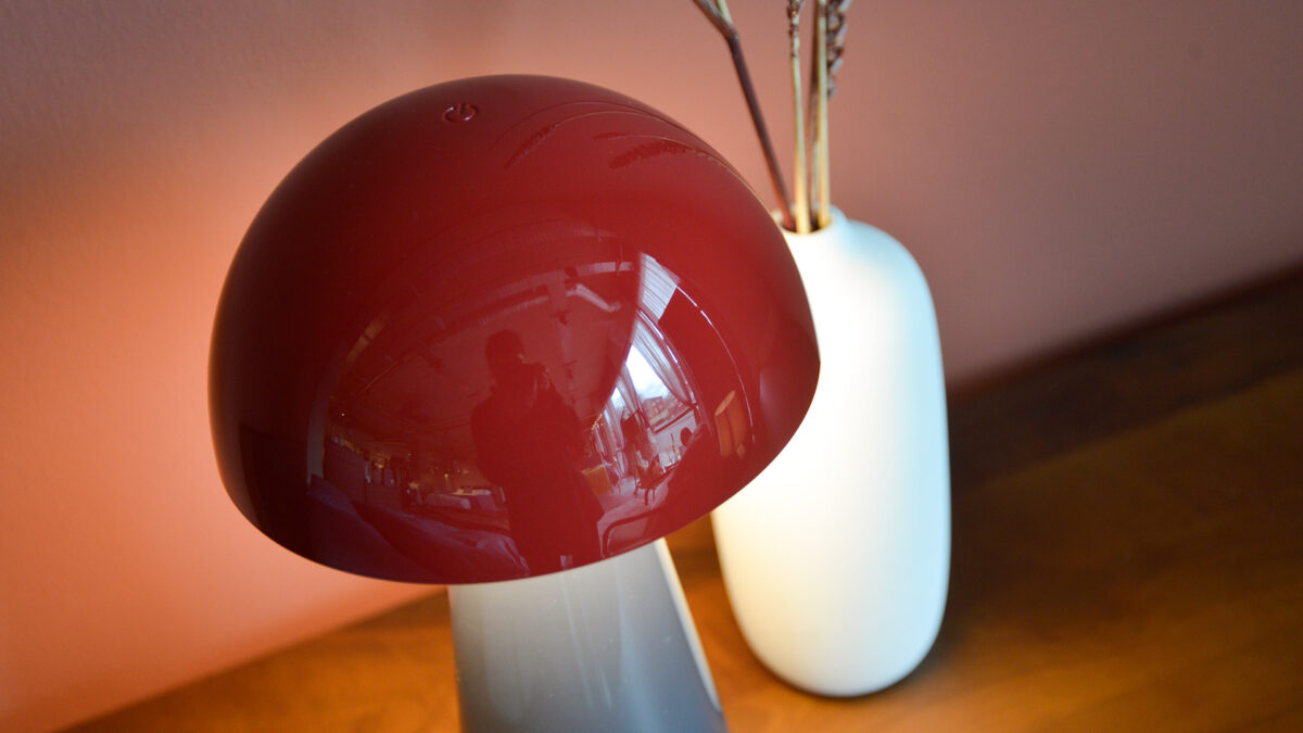 Portable Mushroom Table Lamps - Image 19