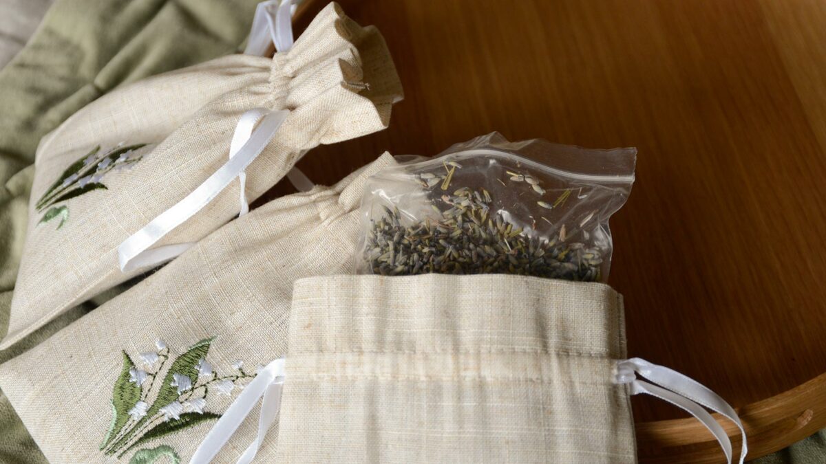 Lavender with lavender flowers showing