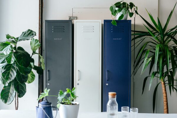 Lockers-tall-and-skinny lockers