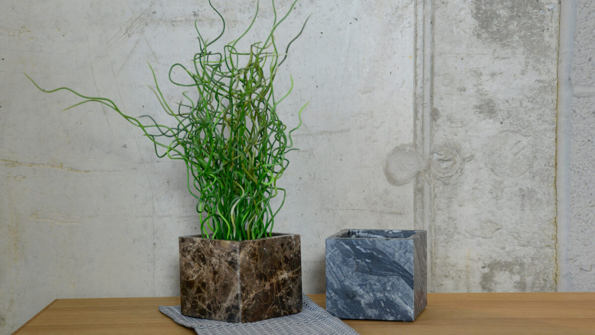 Marble Pots with Plant