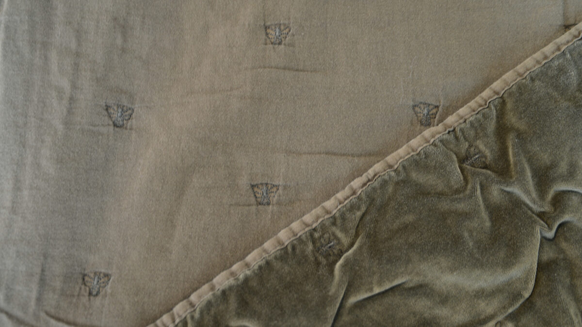 velvet throw with embroidered bee motif in olive green showing the reverse