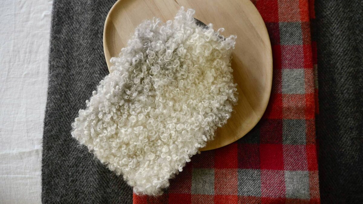 Shepherd Sheepskin HWB Front Solo 1