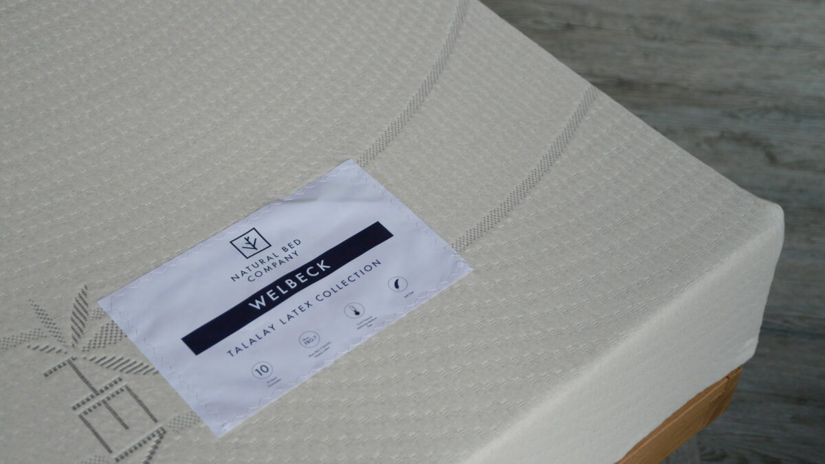 Talalay Latex Soft Wide Shot