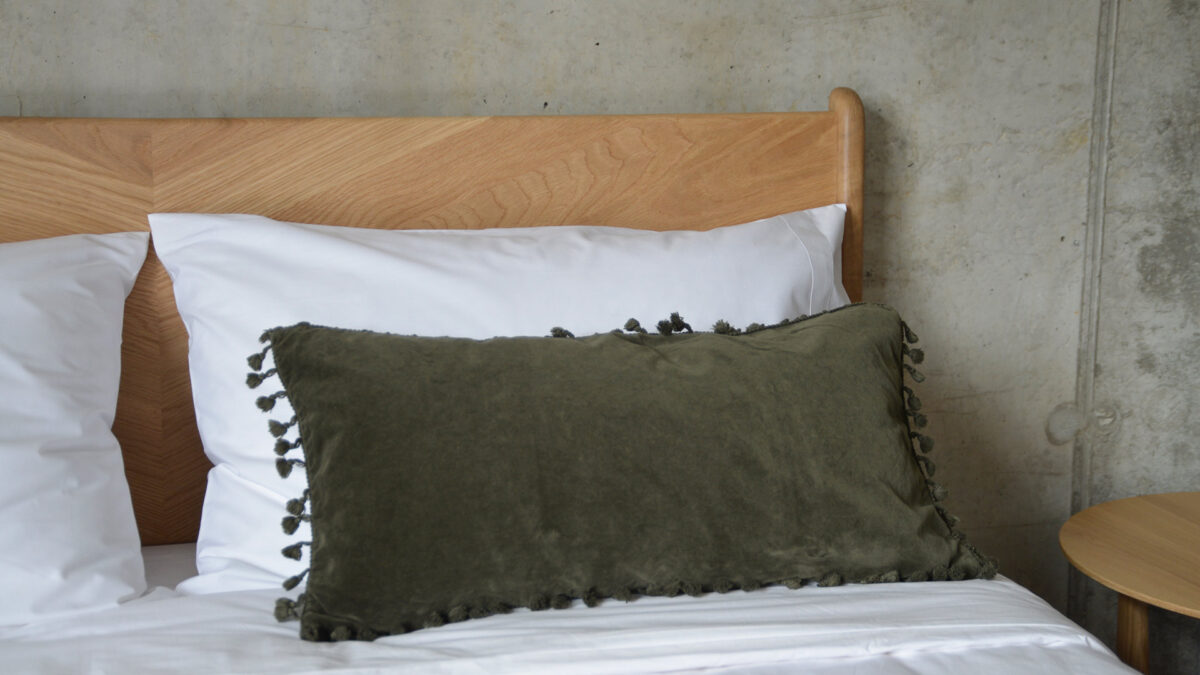 Velvet Cushion