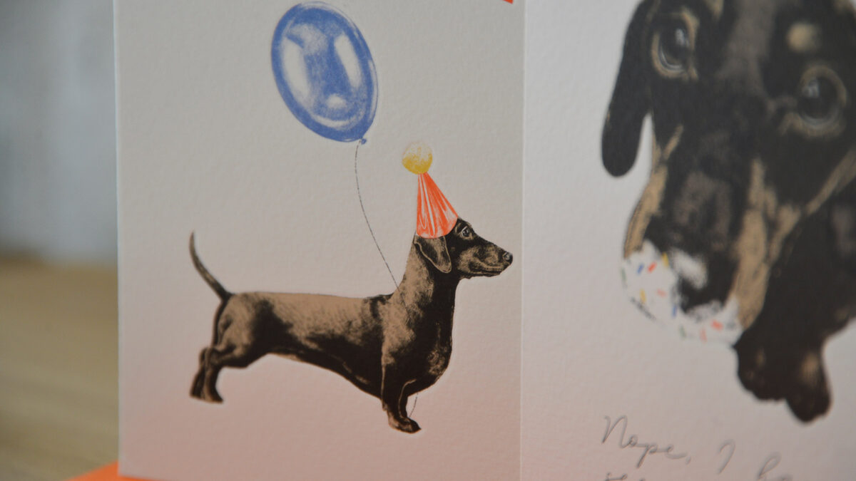 Sausage Dog Birthday Card Set - Image 7
