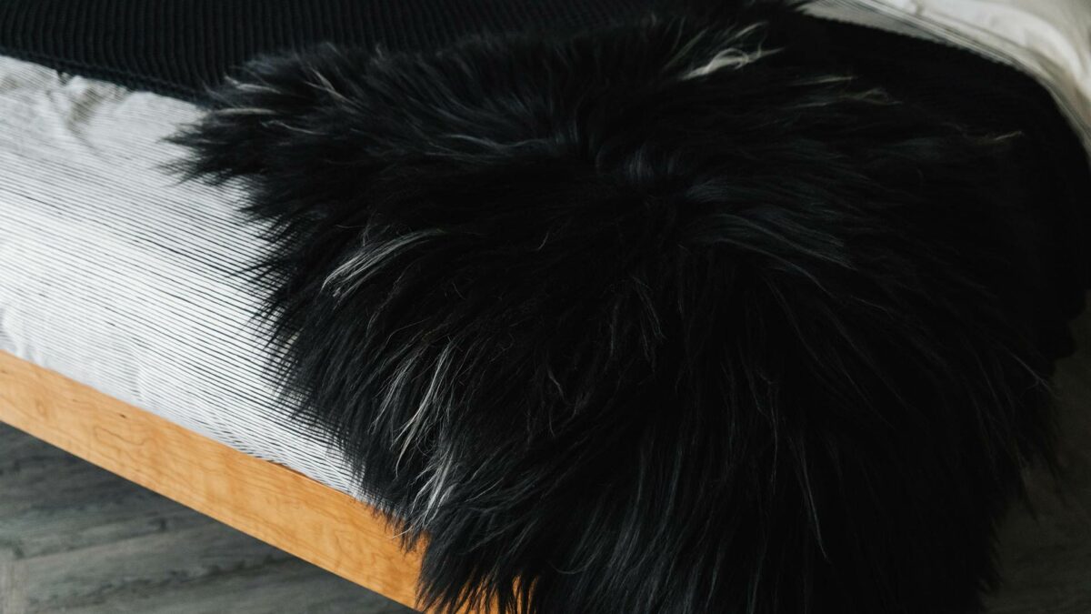 black-and-ivory-sheepskin-throw