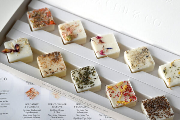 Fox Cub & Co Wax Melts Gift Set