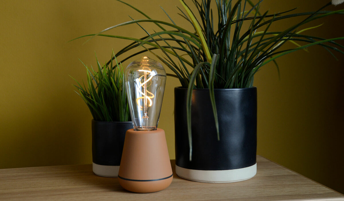 brown humble one outdoor lamp with plants