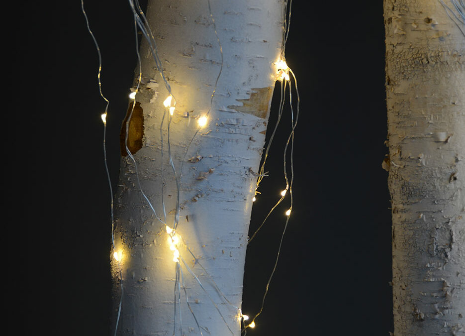 Flexible Branching LED fairy lights with silver wires