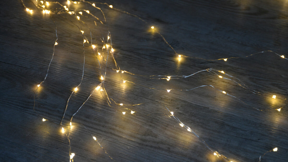 Branching LED fairy lights with silver wires