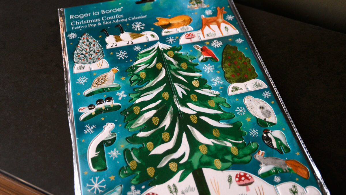 christmas conifer advent pop slot pack