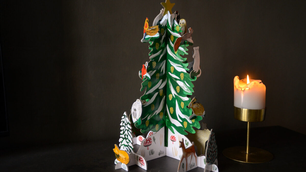 conifer xmas advent