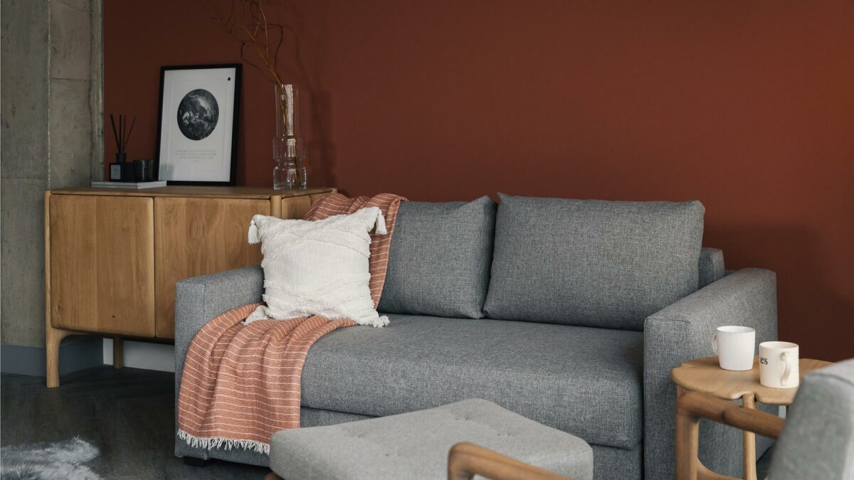 cosial compact sofa bed with Pi cupboard