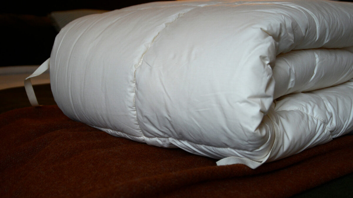 organic wool filled duvet