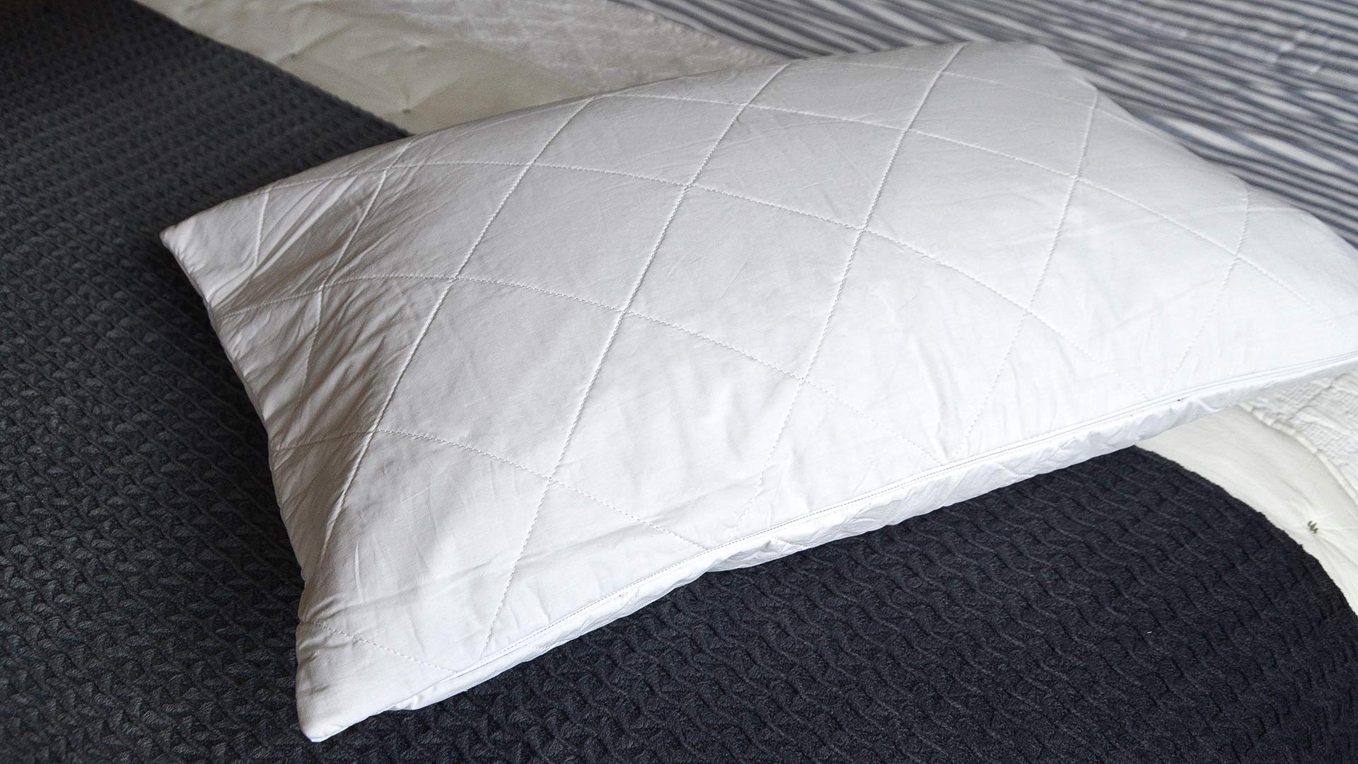 100 cotton filled pillows