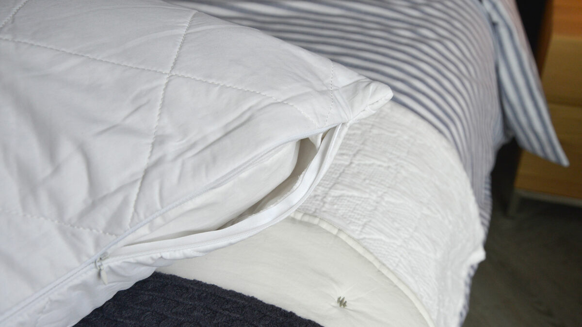 cotton-pillow-protector