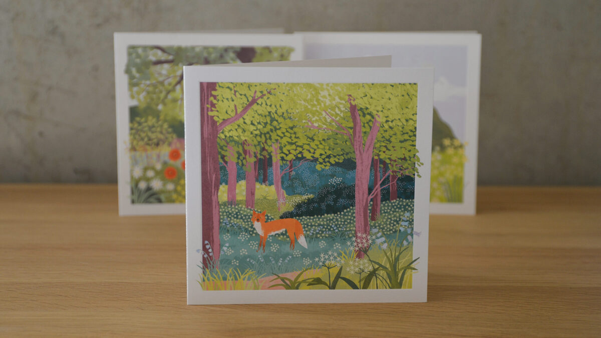 Countryside Landscape Card Sets - Image 10