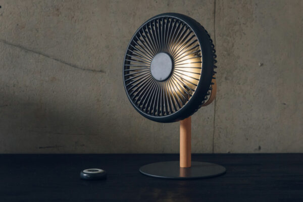 chargeable desk top fan with light and remote control