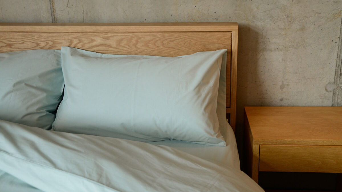 egyptian cotton duck egg pillowcase