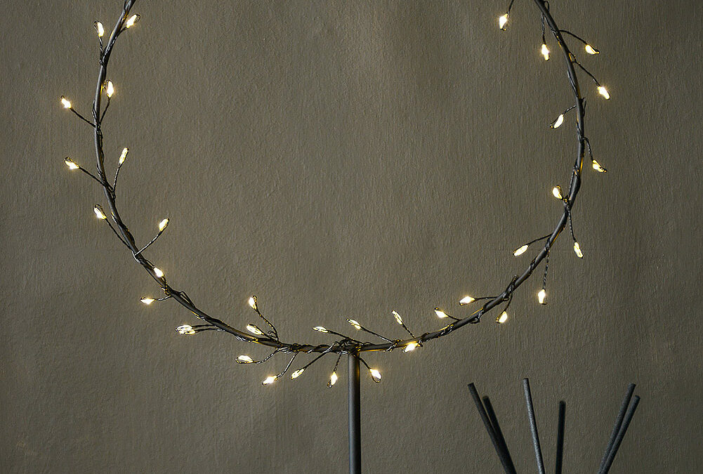 festive battery powered light ring portrait