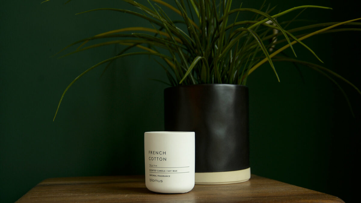french cotton scented candle in white pot