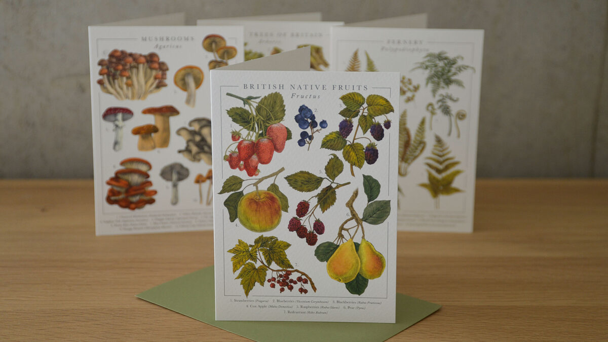 Botanical Illustration Card Set - Image 7
