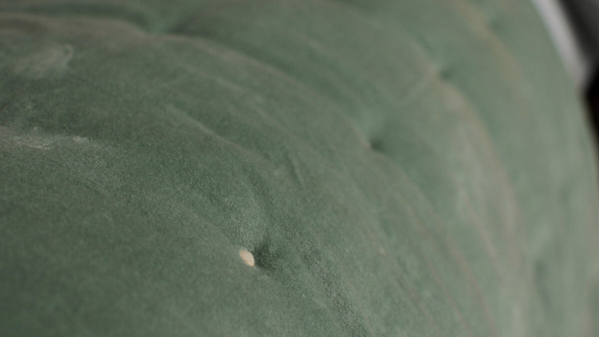 velvet-quilt-jade-green-close-up