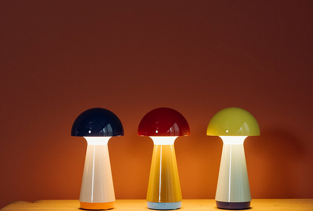 illuminated colourful mushroom lamps