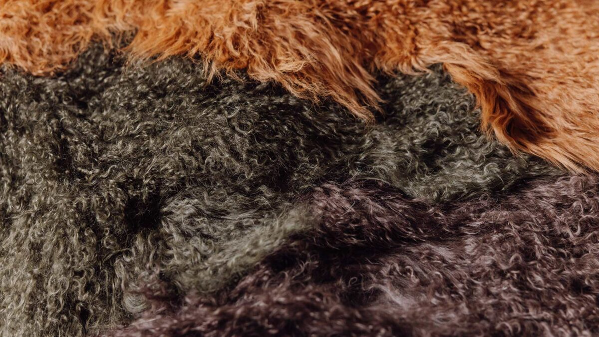 long hair sheepskins 3 colours