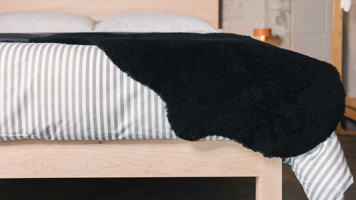 luxury black shorthair sheepskin