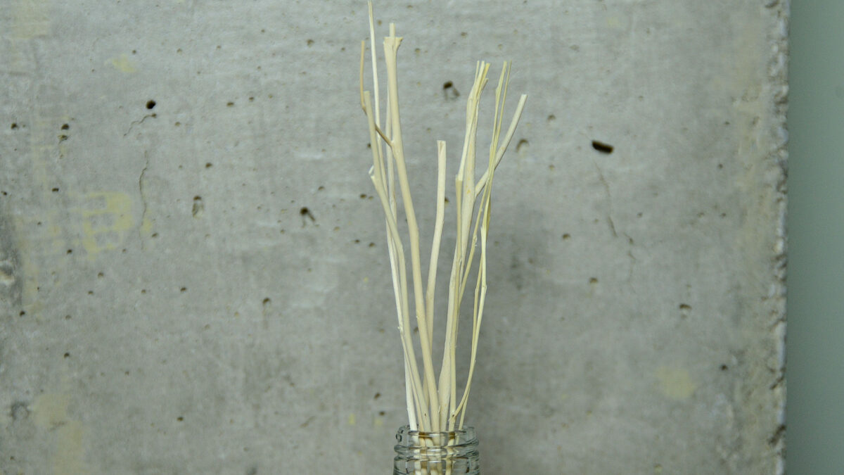 meraki diffuser sticks