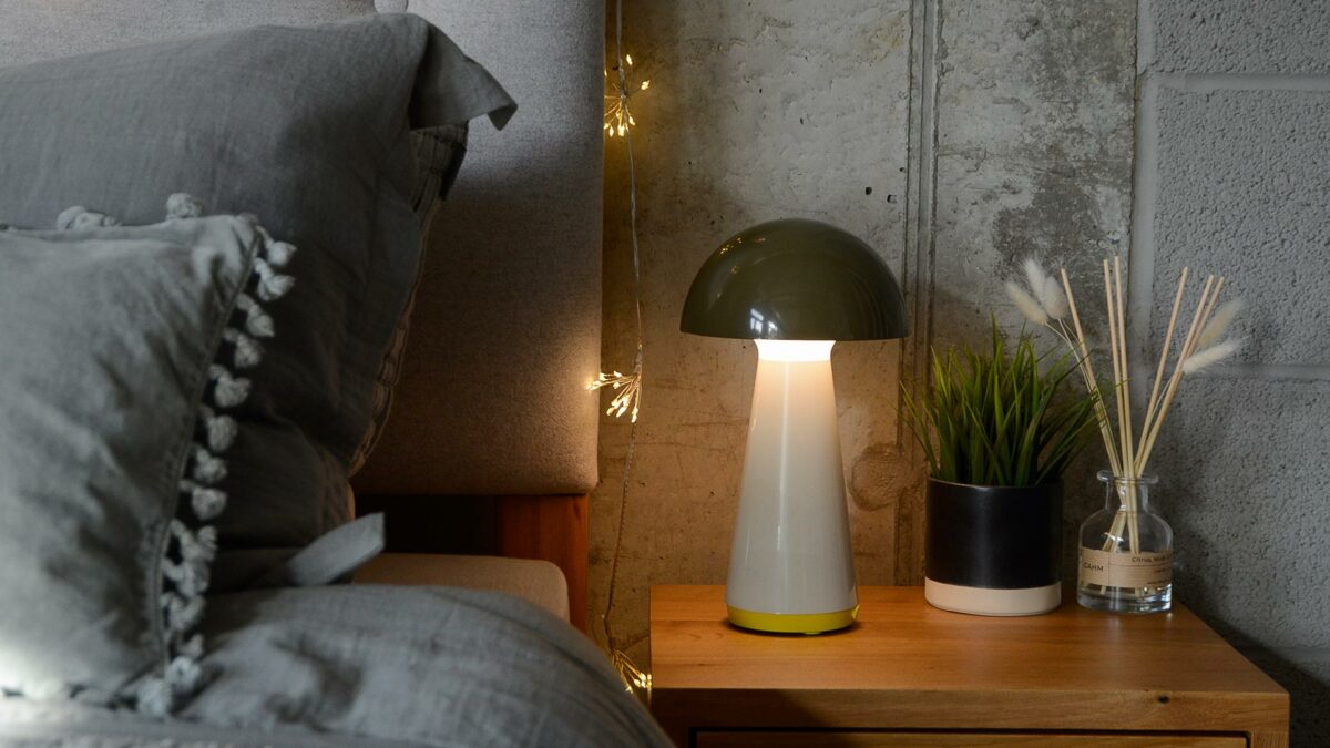 mushroom colourful portable light olive