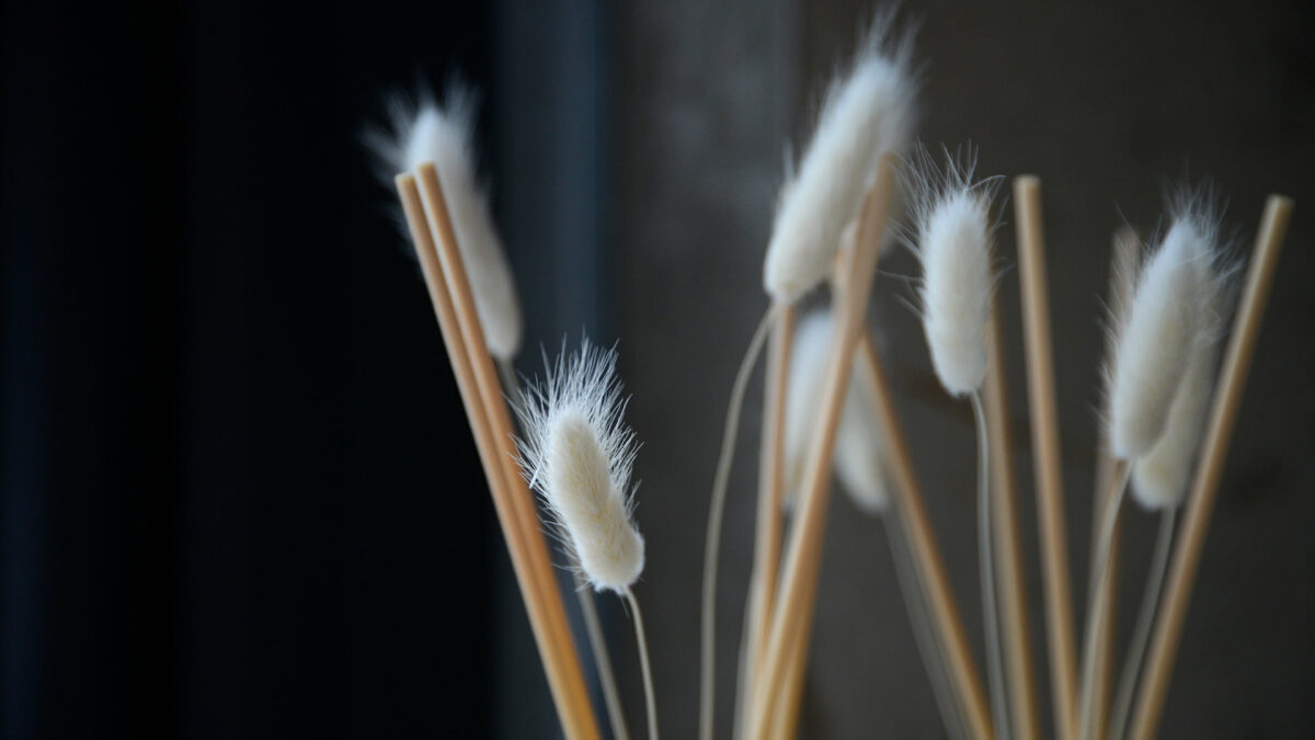 luxury glass room scent diffusers with chunky reeds and bunny tails