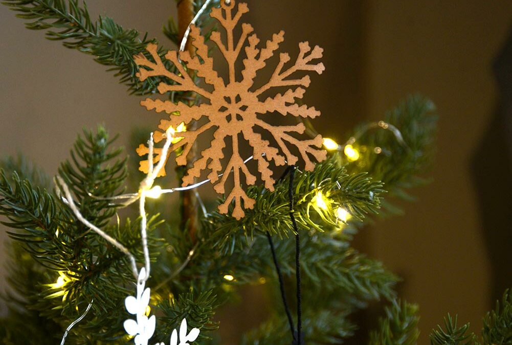 paper snowflakes portrait