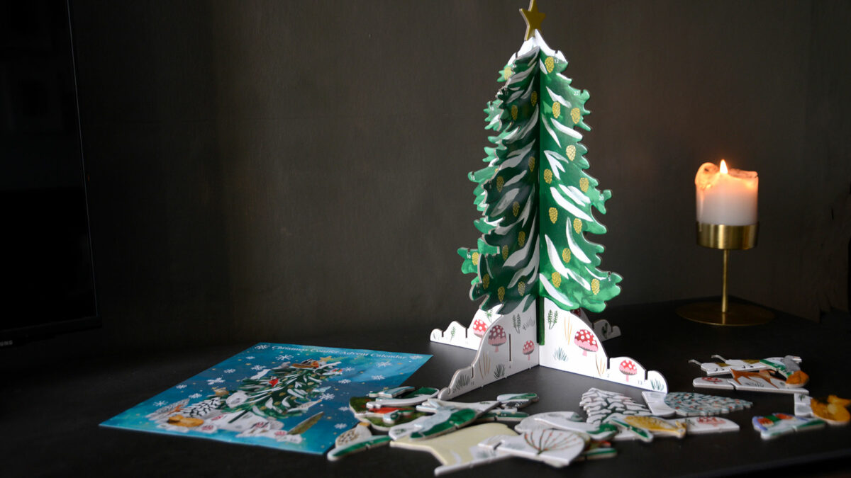 pop slot advent conifer