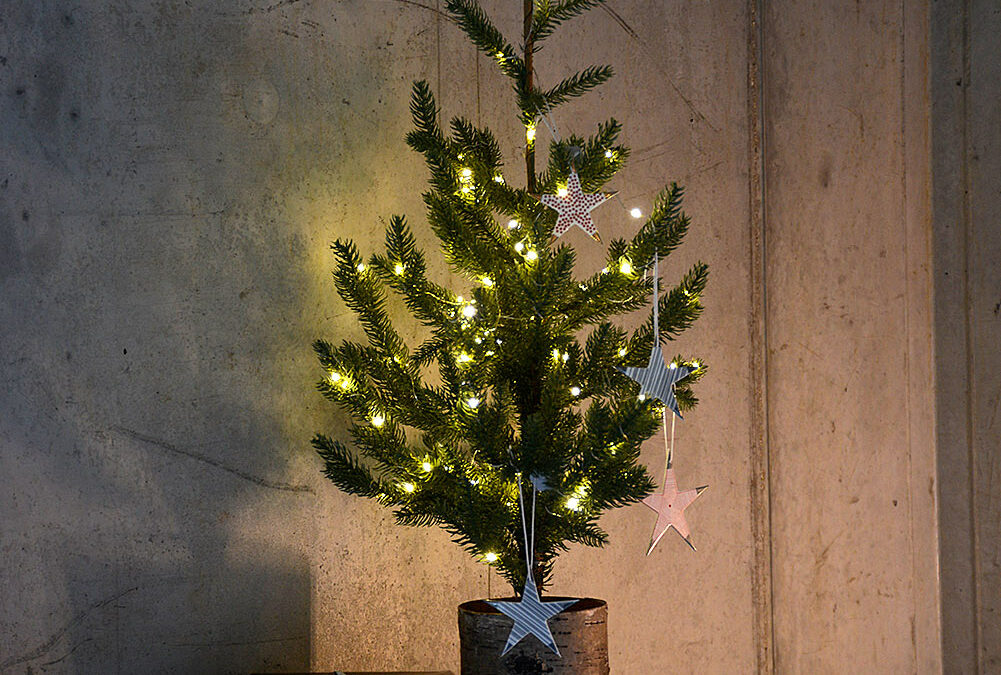 porcelain stars on xmas tree portrait