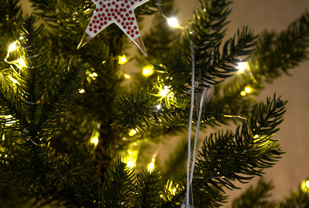 porcelain stars portrait