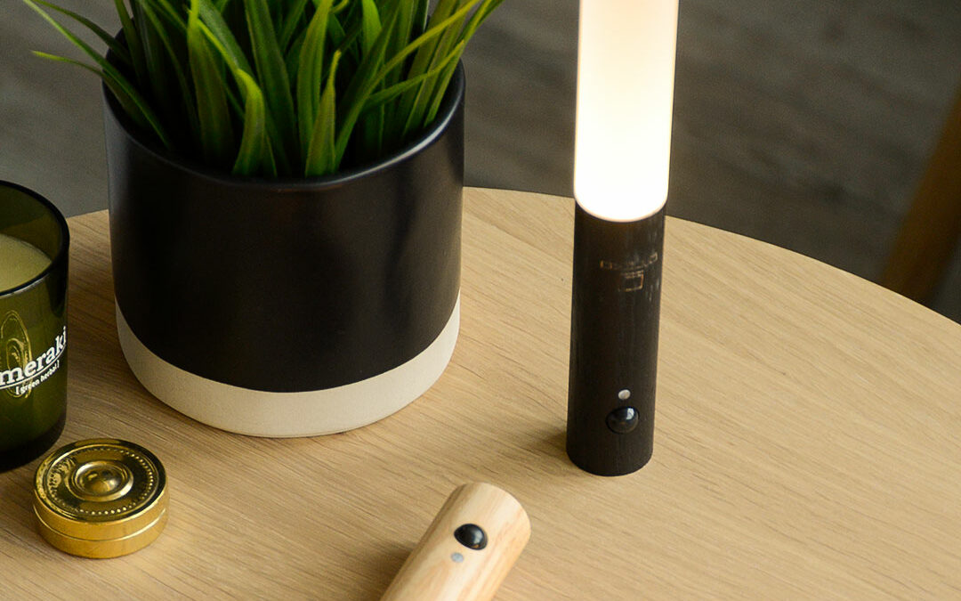 portrait image 3 baton lights with plant