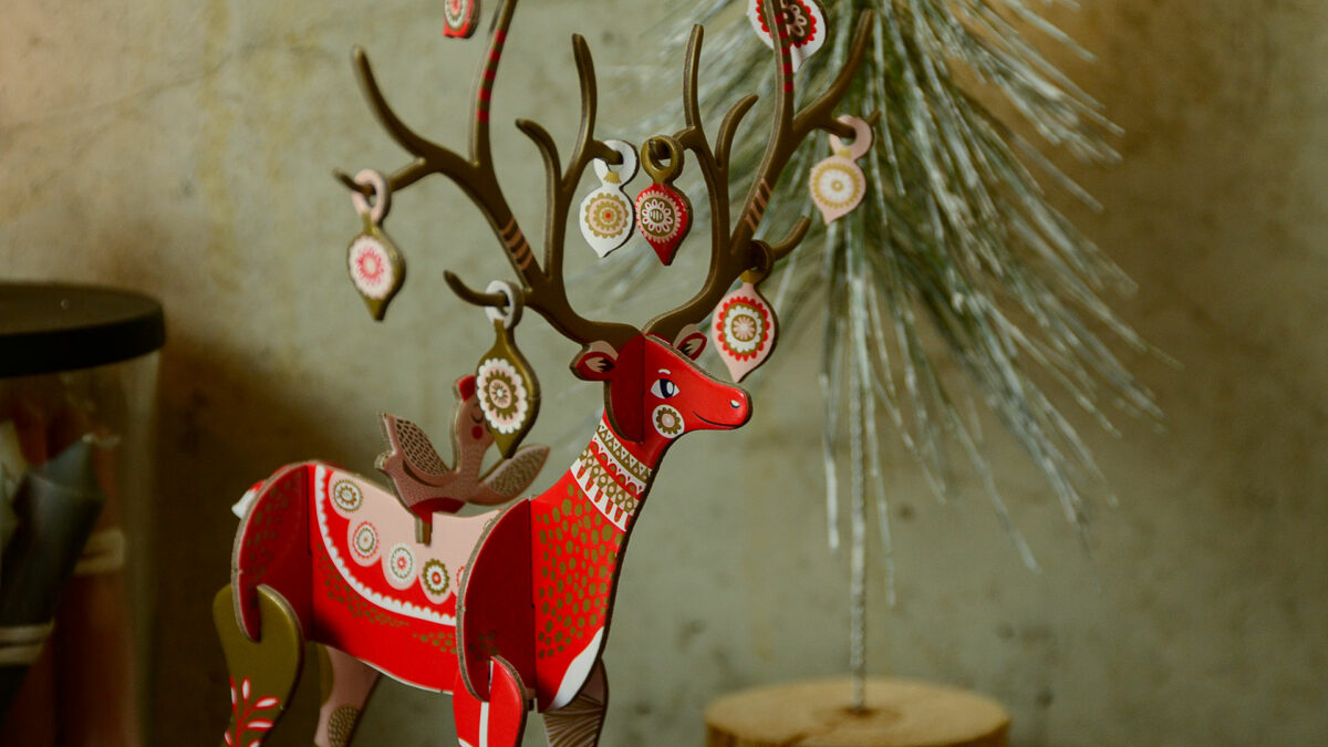 reindeer close up