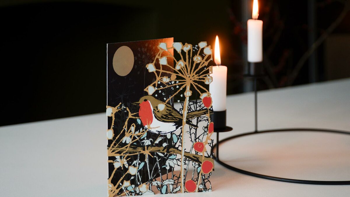 robin laser cut card