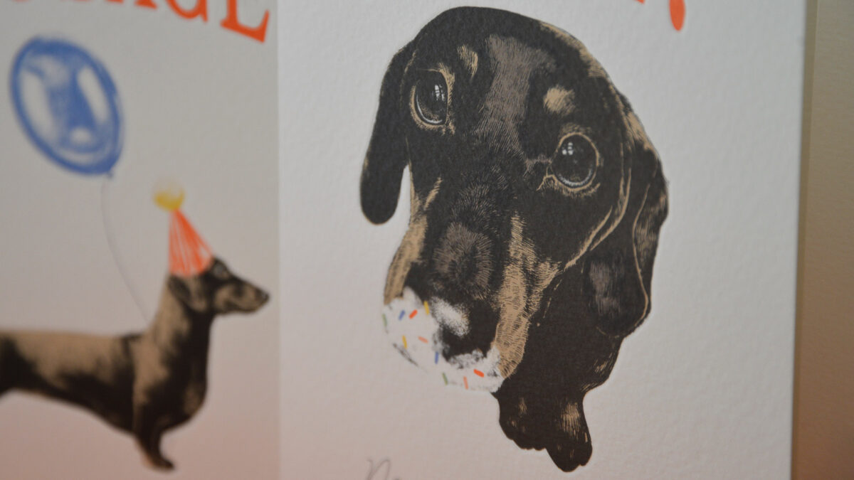 Sausage Dog Birthday Card Set - Image 6