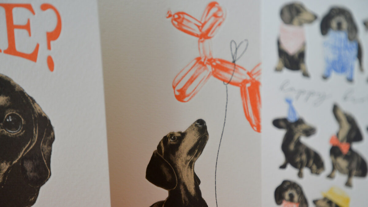 Sausage Dog Birthday Card Set - Image 4